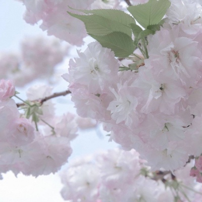 兽设四季场景设计兽圈社群